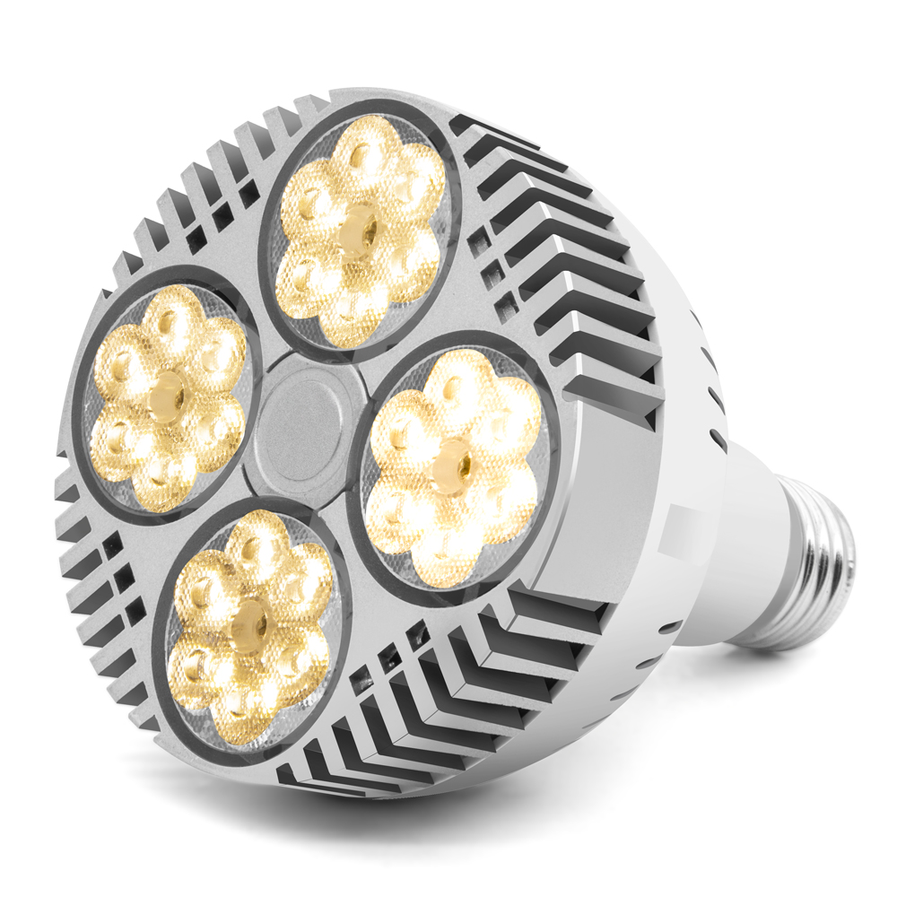 BrightBulb 200W E27/E26 LED Plant Grow Light Hydroponic Full Spectrum Bulb Indoor Lamp-E26 