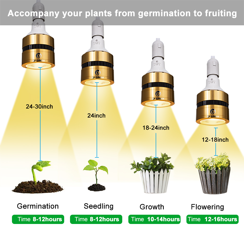 CFGROW COB LED Grow Light Bulb 300W, 3500K LUMENS White LED Plant Grow Full Spectrum for Indoor Plants Seedlings Veg Flowering Fruit All Stage Growing