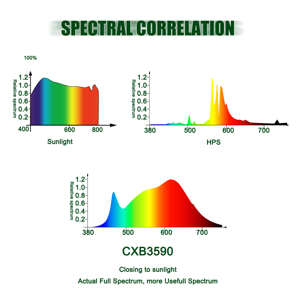 X1-Spectral correlation