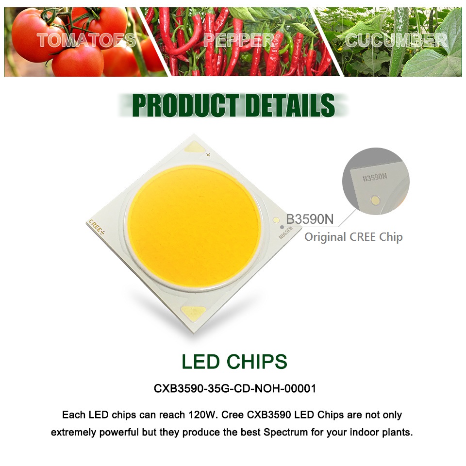X2-LED Chip